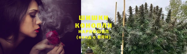 стафф Верхний Тагил