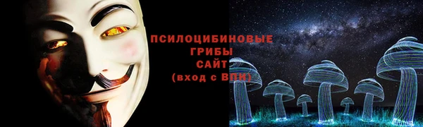 стафф Верхний Тагил