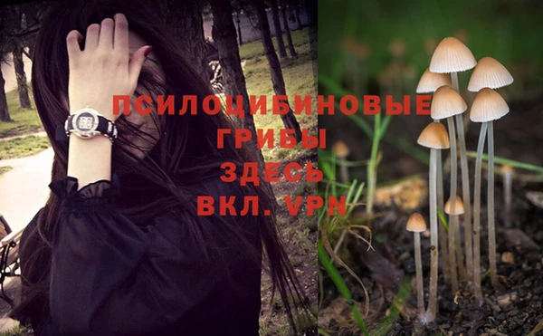 прущие крисы Верхнеуральск