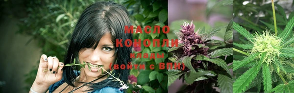 стафф Верхний Тагил