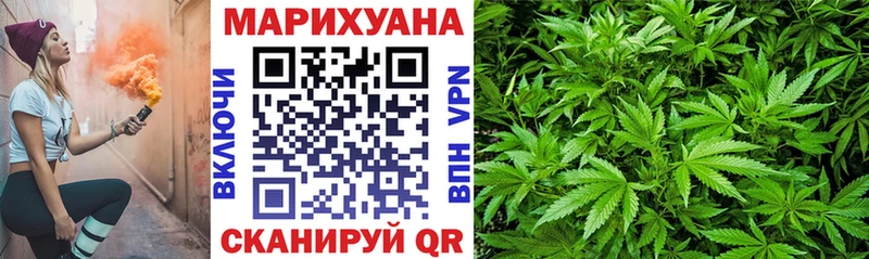 Каннабис гибрид  Карпинск 